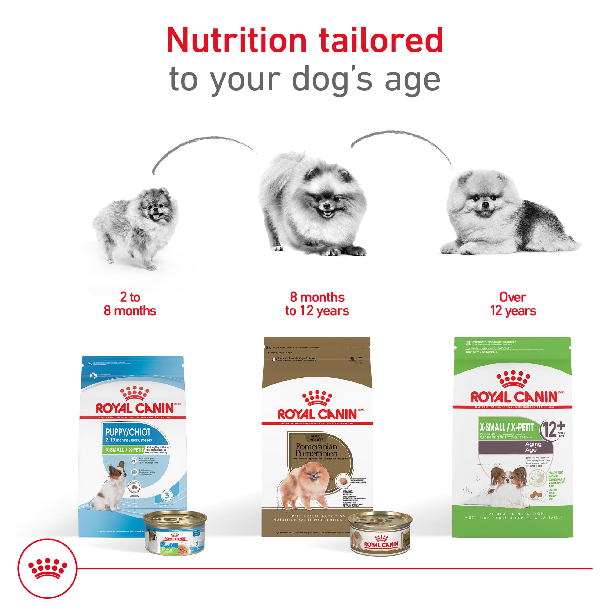 Digestion équilibrée grâce aux fibres digestibles et protéines – Royal Canin Pomeranian