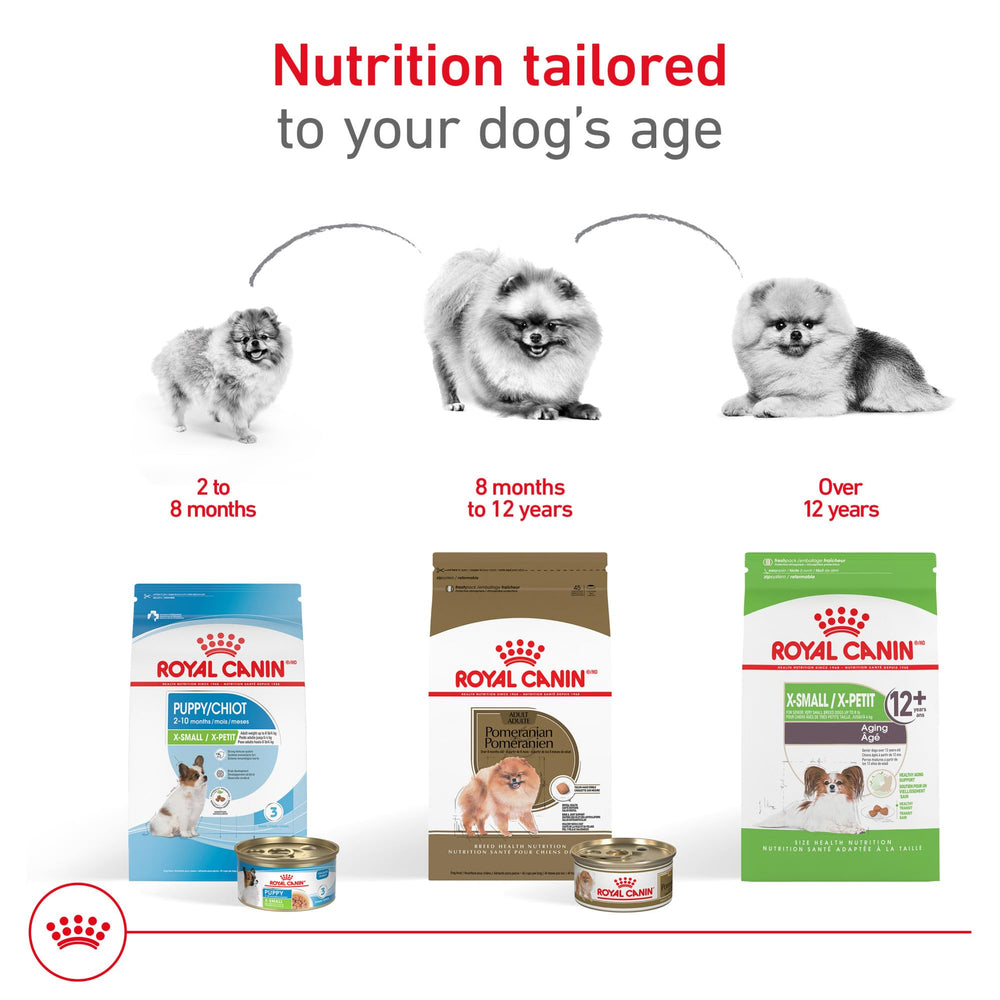 Digestion équilibrée grâce aux fibres digestibles et protéines – Royal Canin Pomeranian