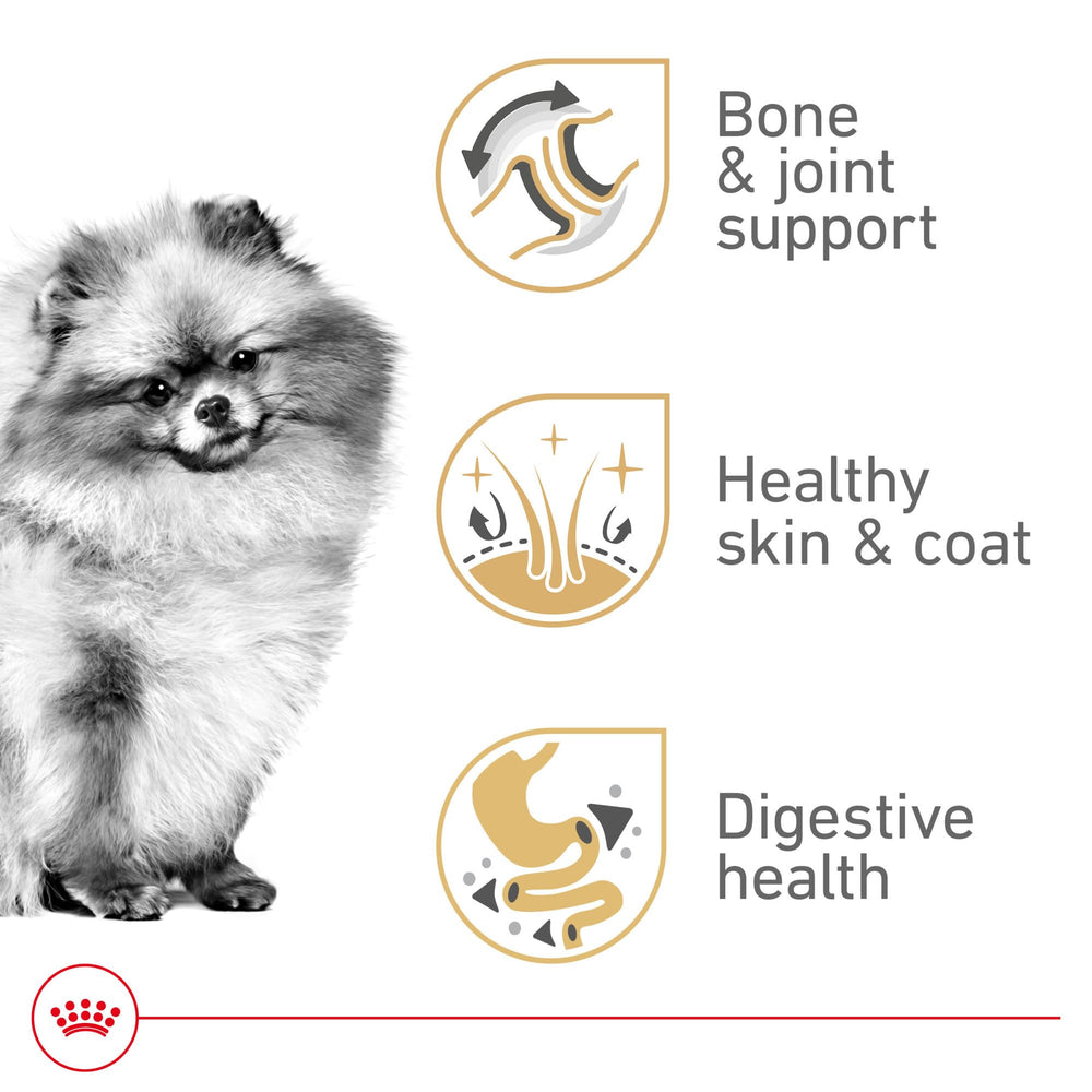 Pelage brillant et peau saine grâce à EPA et DHA – Royal Canin Pomeranian