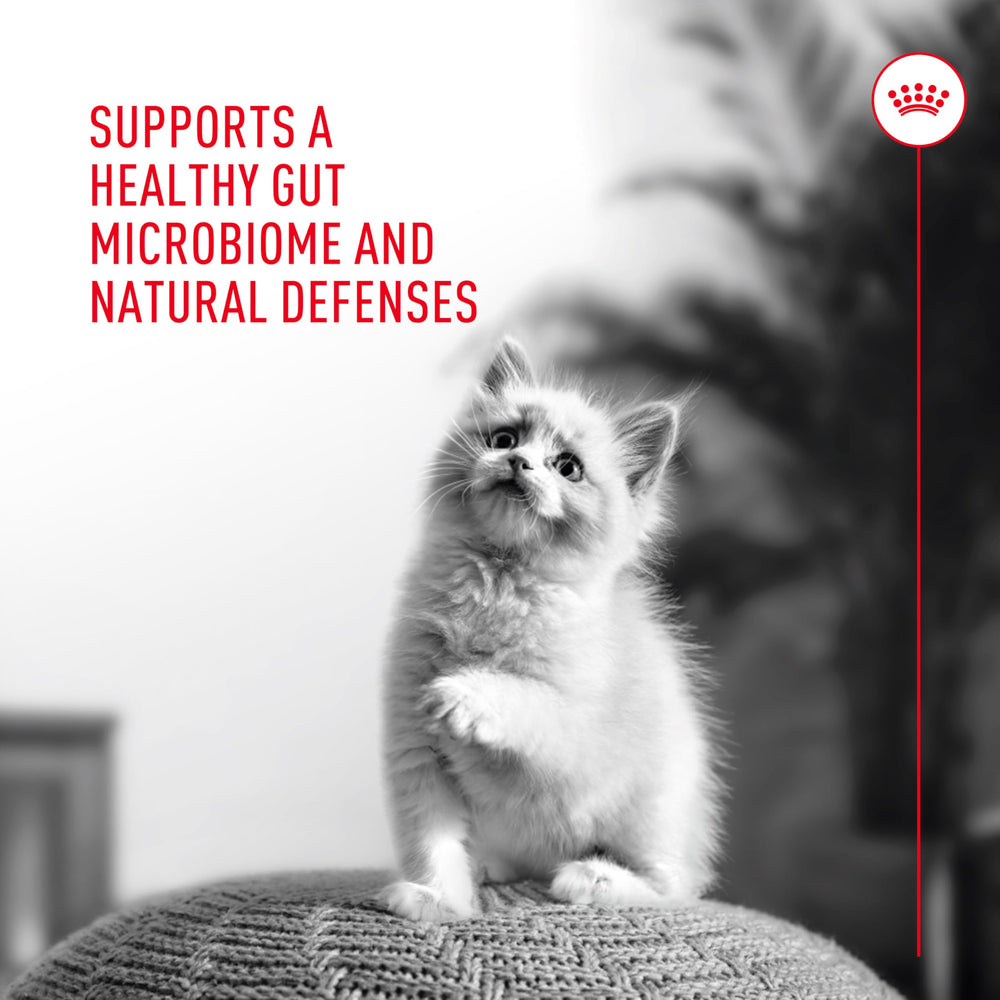 Royal Canin Probiotiques chat flore intestinale renforcée: soutien potentiel de la digestion.