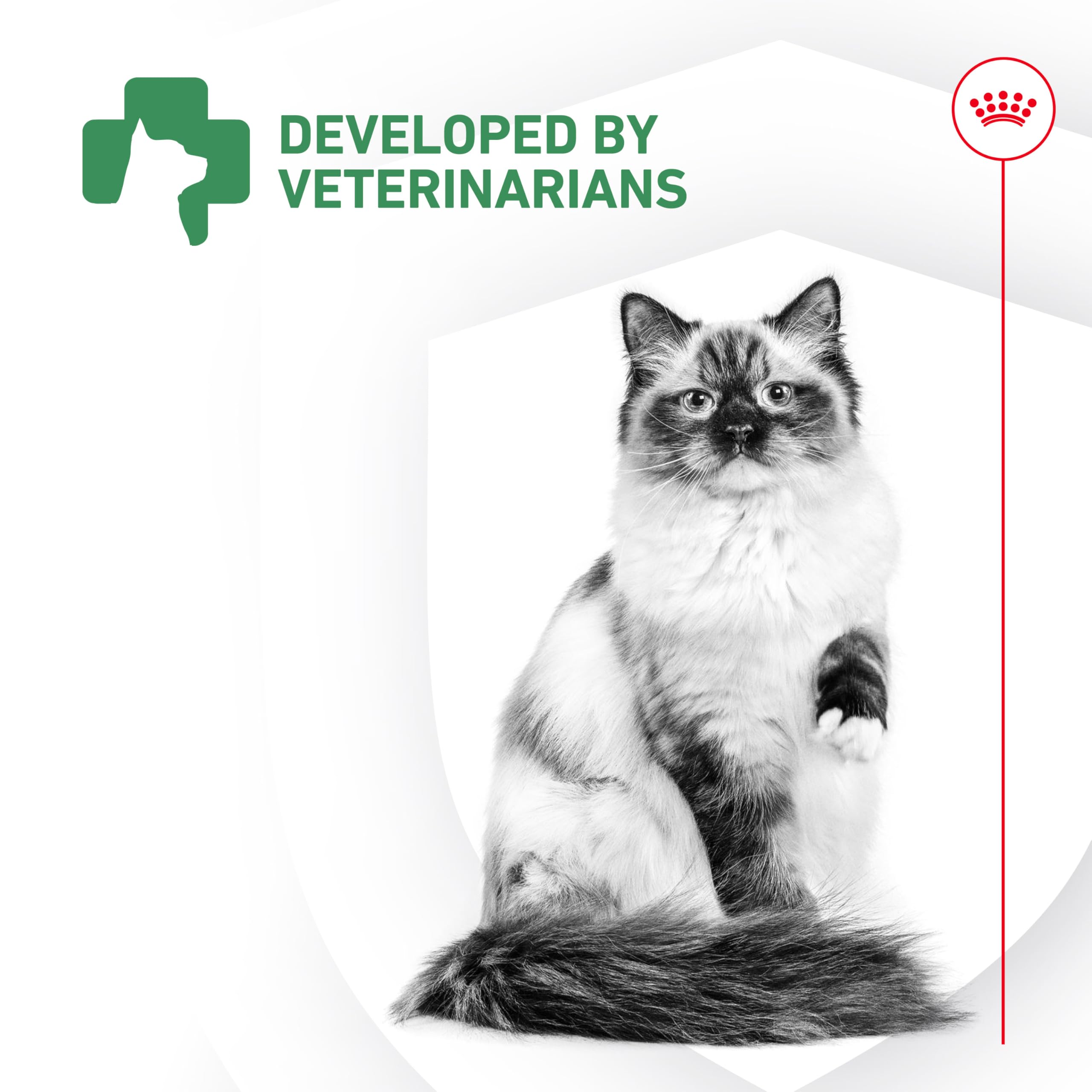 Royal Canin Probiotiques chat soutien immunitaire: contribue à la résilience digestive.