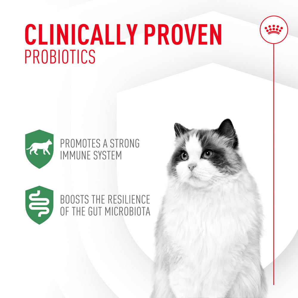 Royal Canin Probiotiques chat poudre immunité: aide à soutenir les défenses naturelles.