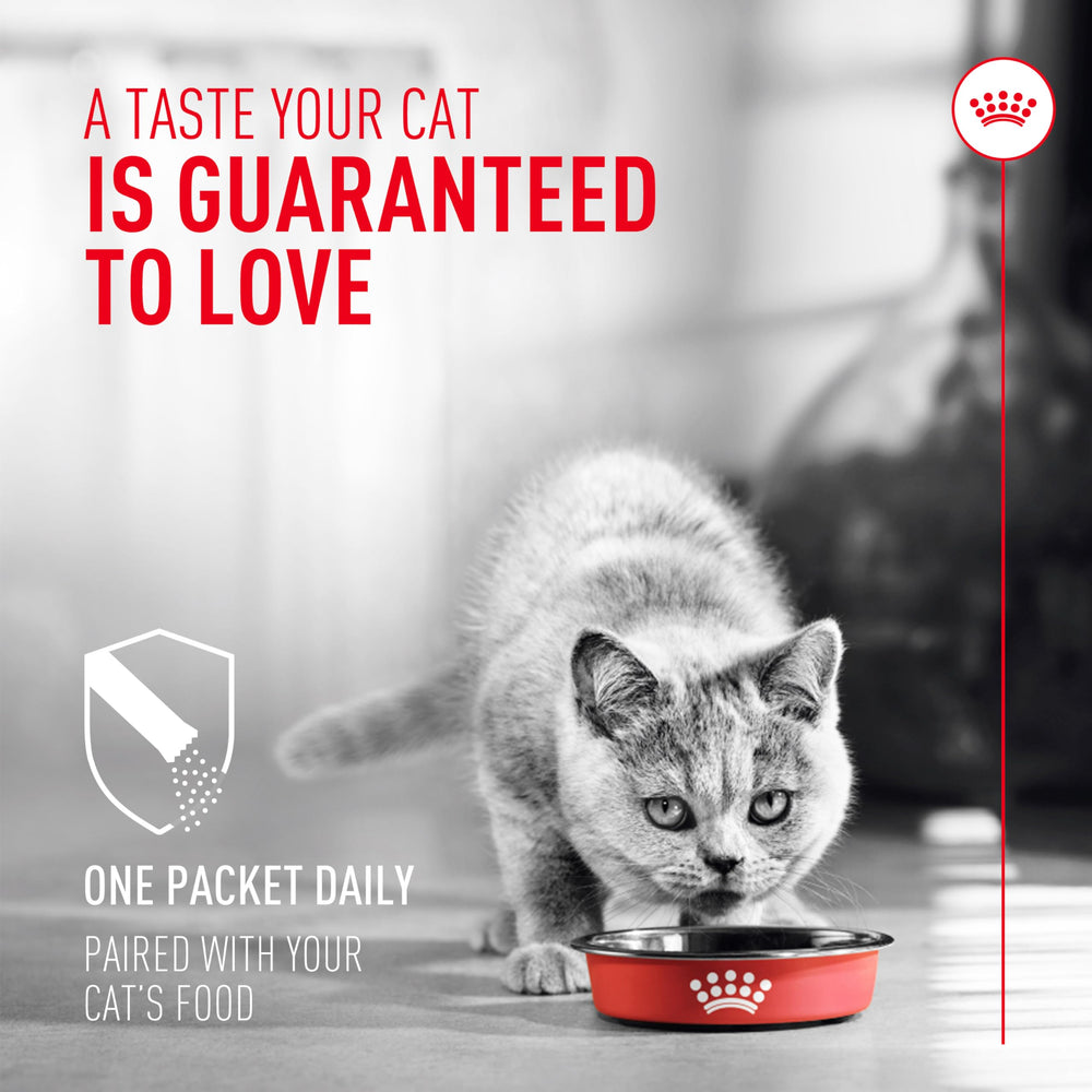 Royal Canin Probiotiques chat poudre sur nourriture: pratique et rapide à saupoudrer.