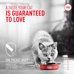 Royal Canin Probiotiques chat poudre sur nourriture: pratique et rapide à saupoudrer.