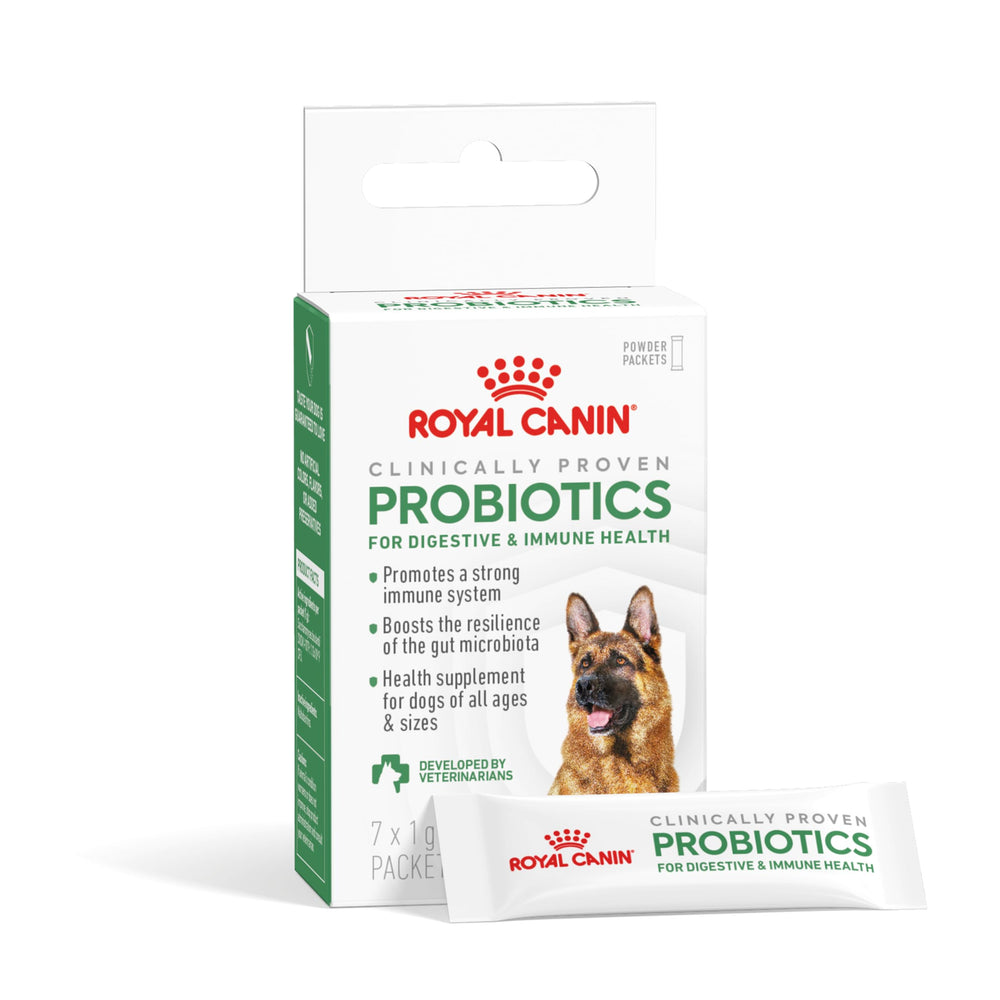Royal Canin Probiotiques pour chiens, flacon-poudre, soutient la digestion et l’immunité.
