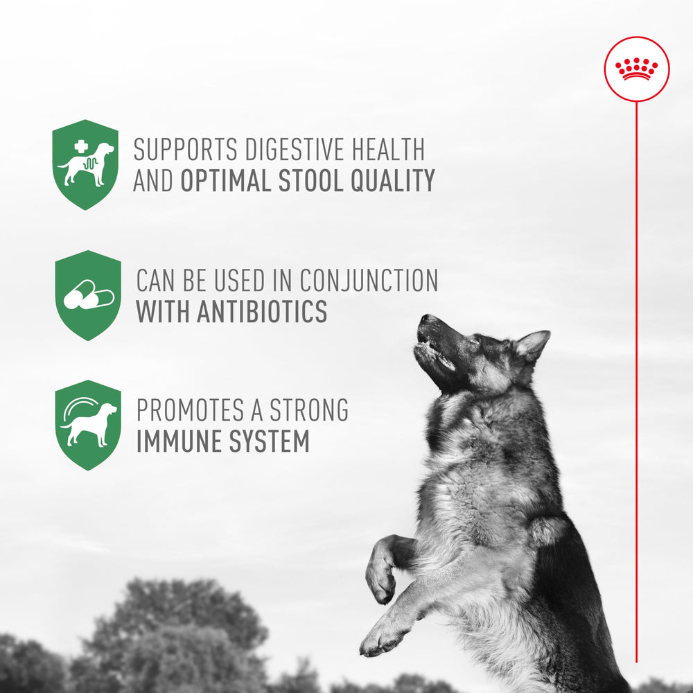 Goût apprécié par les chiens, facilitant l’intégration au repas.