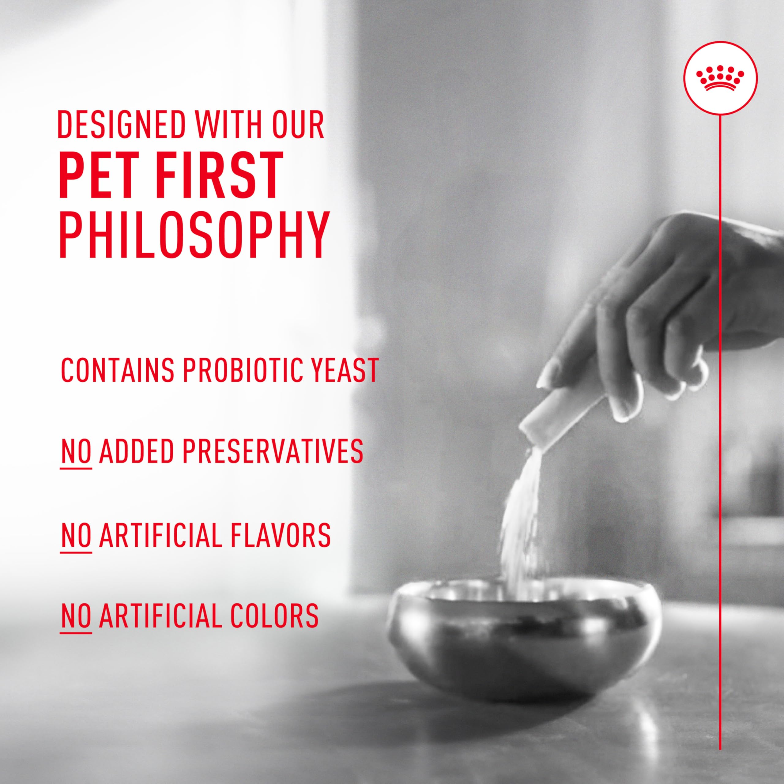 Goût et texture compatibles avec les repas quotidiens du chien.