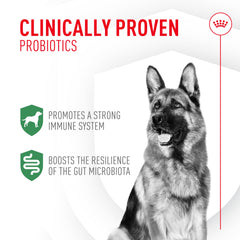 Probiotiques en sachet, facile à saupoudrer sur nourriture pour chien.