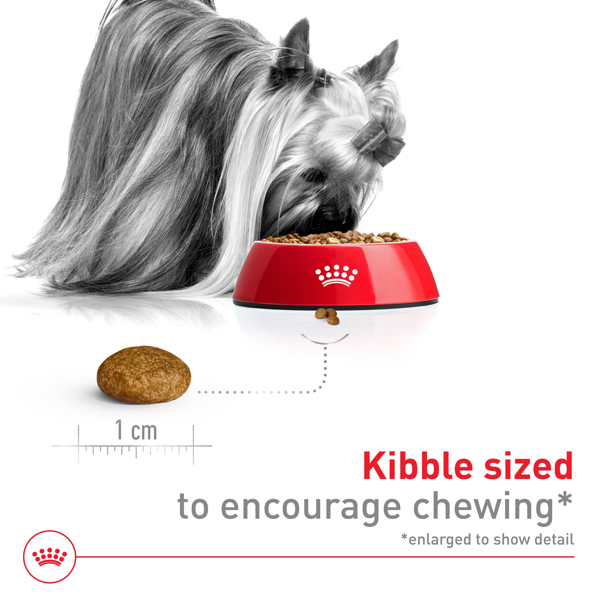 Royal Canin protéines digestes et fibres – soutien du microbiome et de la digestion.