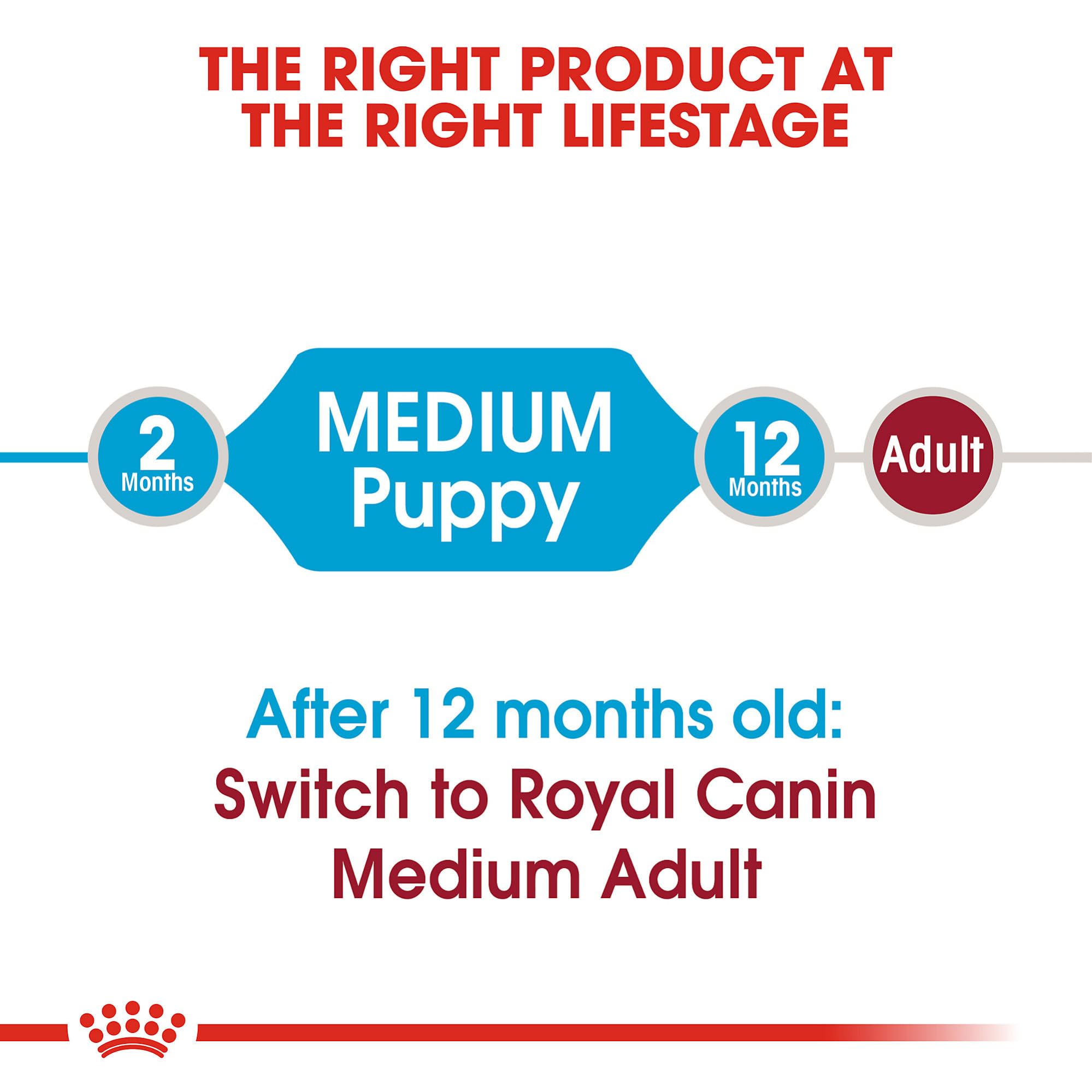 Chiot moyen Royal Canin, protéines hautement digestibles favorisent une digestion agréable.