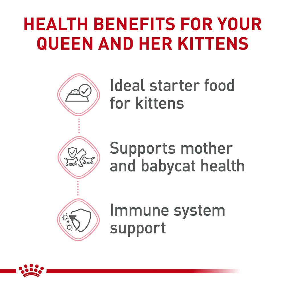 Royal Canin Mère et Bébéchaton – protéines digestibles et prébiotiques pour la digestion.