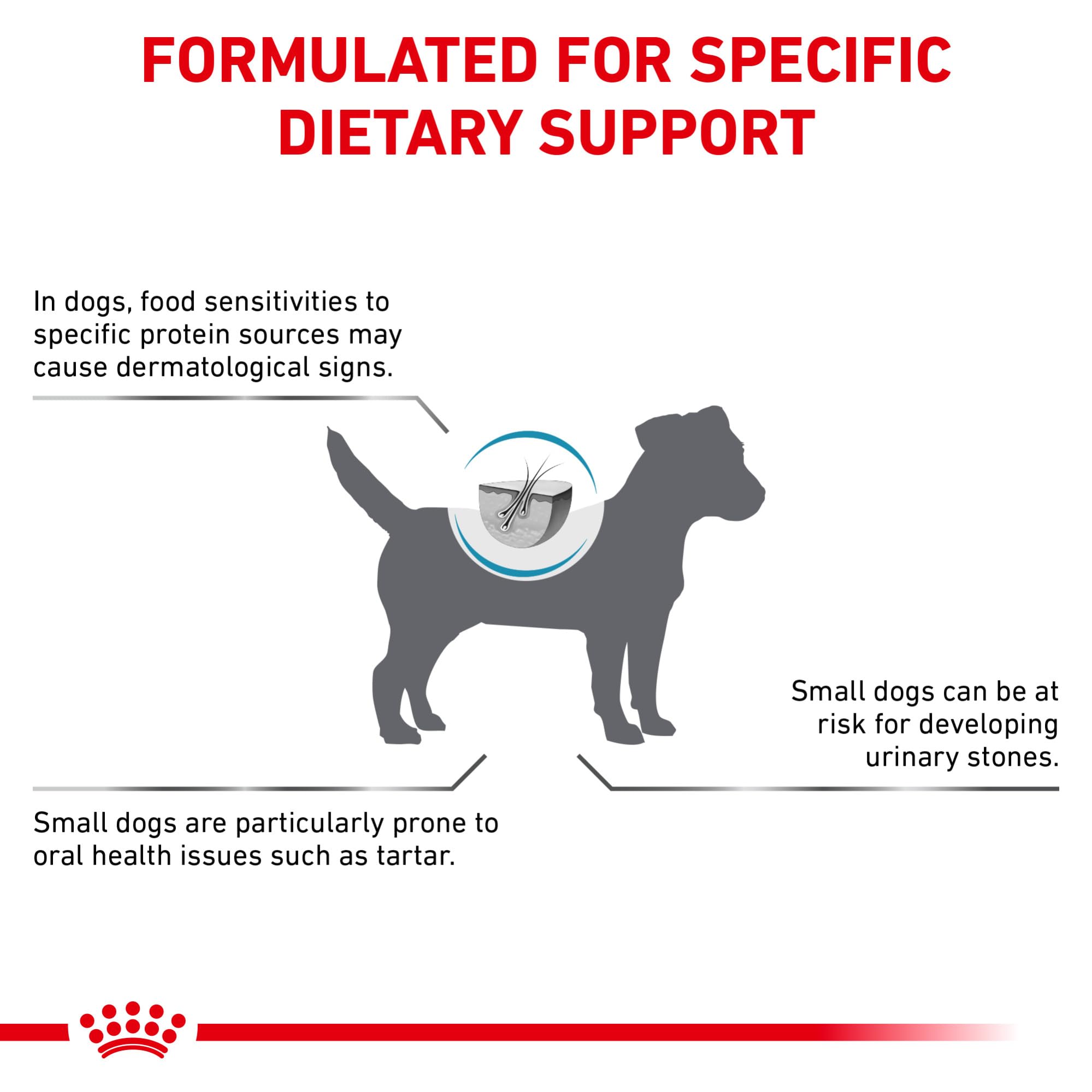 Protéines hydrolysées Royal Canin, faible poids moléculaire pour petits chiens.