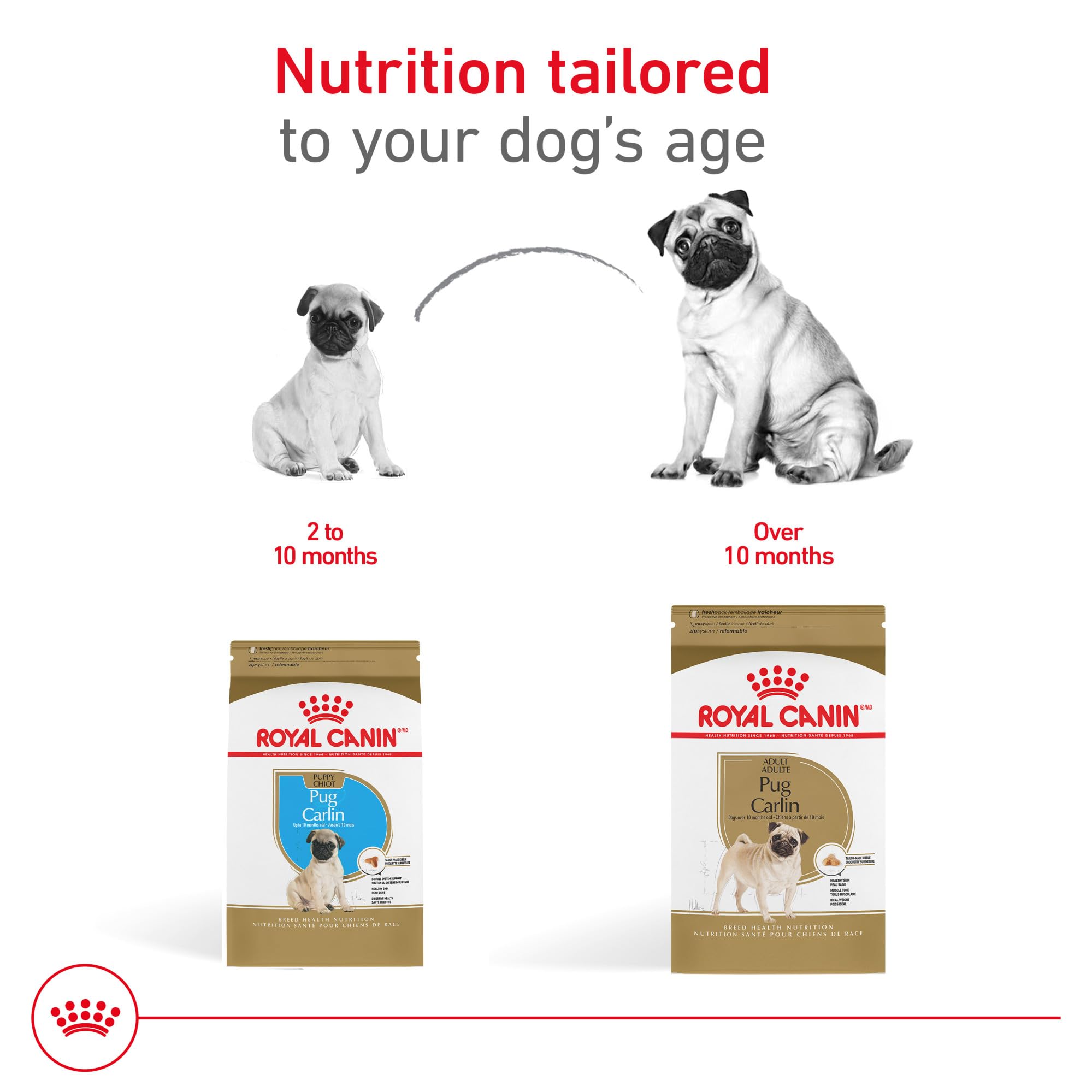 Royal Canin Pug Adulte: alimentation mixte avec conserves soin-peau