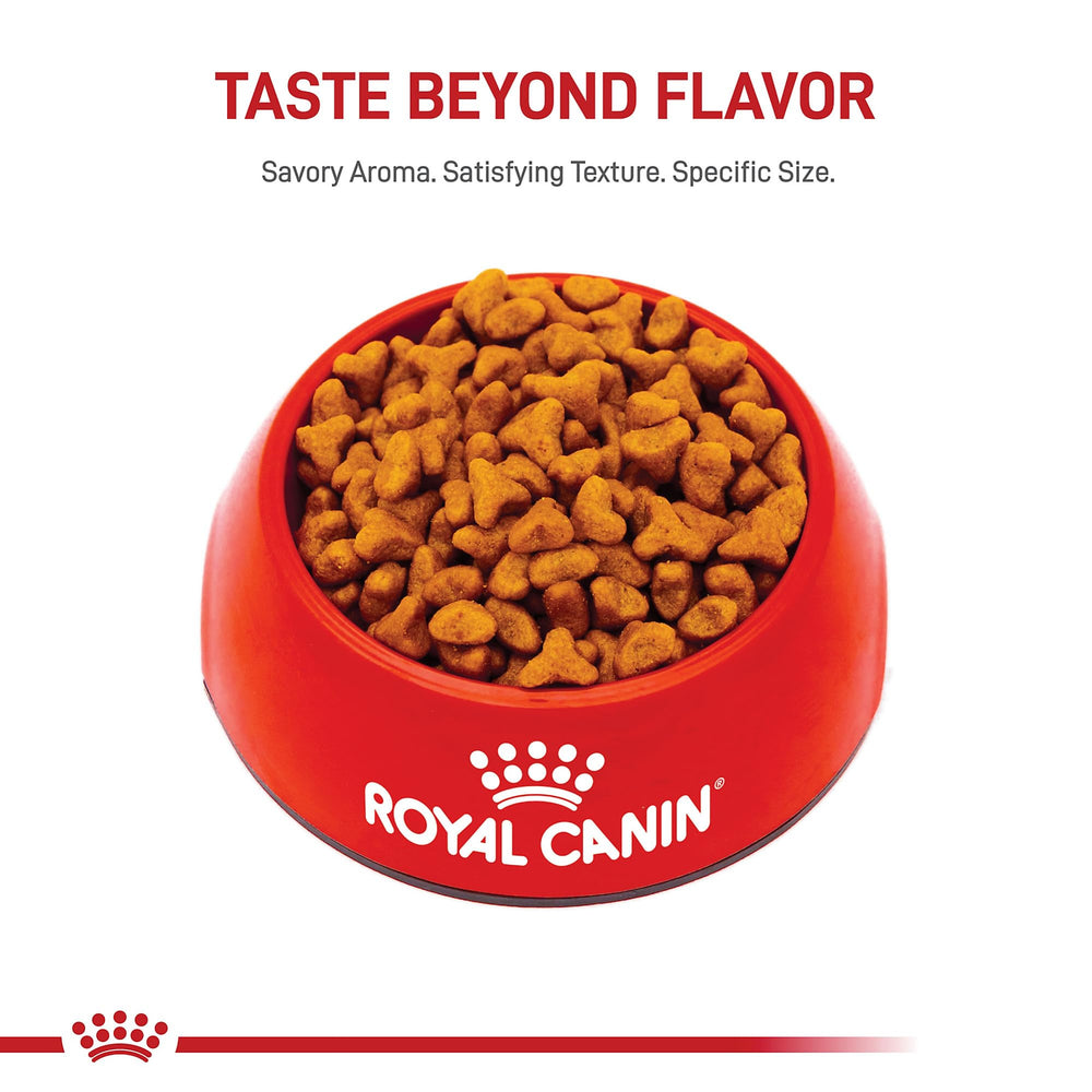Royal Canin Pug Adulte: conseils précis de portionnement pour limiter les excès
