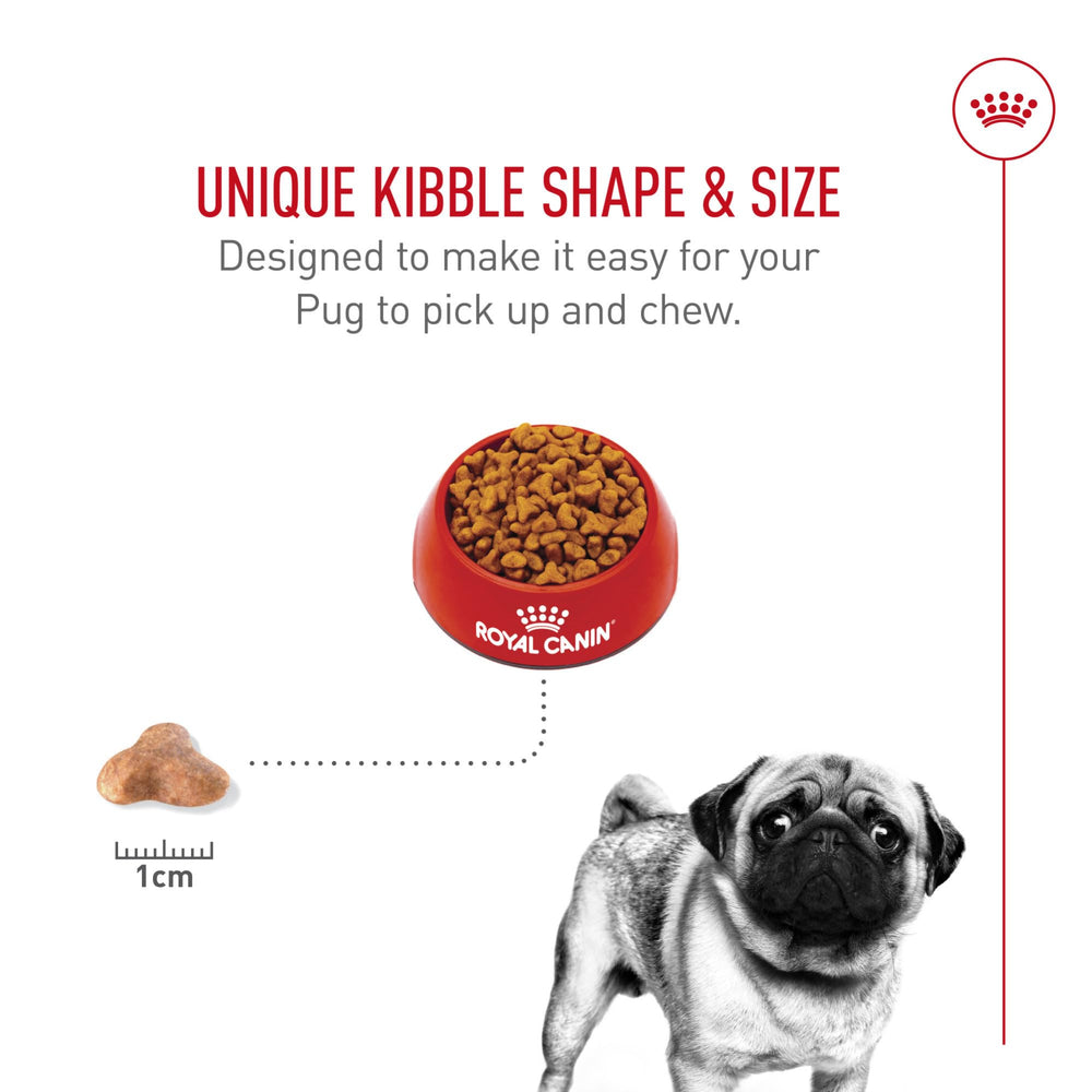 Royal Canin Pug Adulte: EPA/DHA pour peau et pelage lumineux