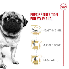 Royal Canin Pug Adulte: gestion du poids pour un chien joueur et équilibré