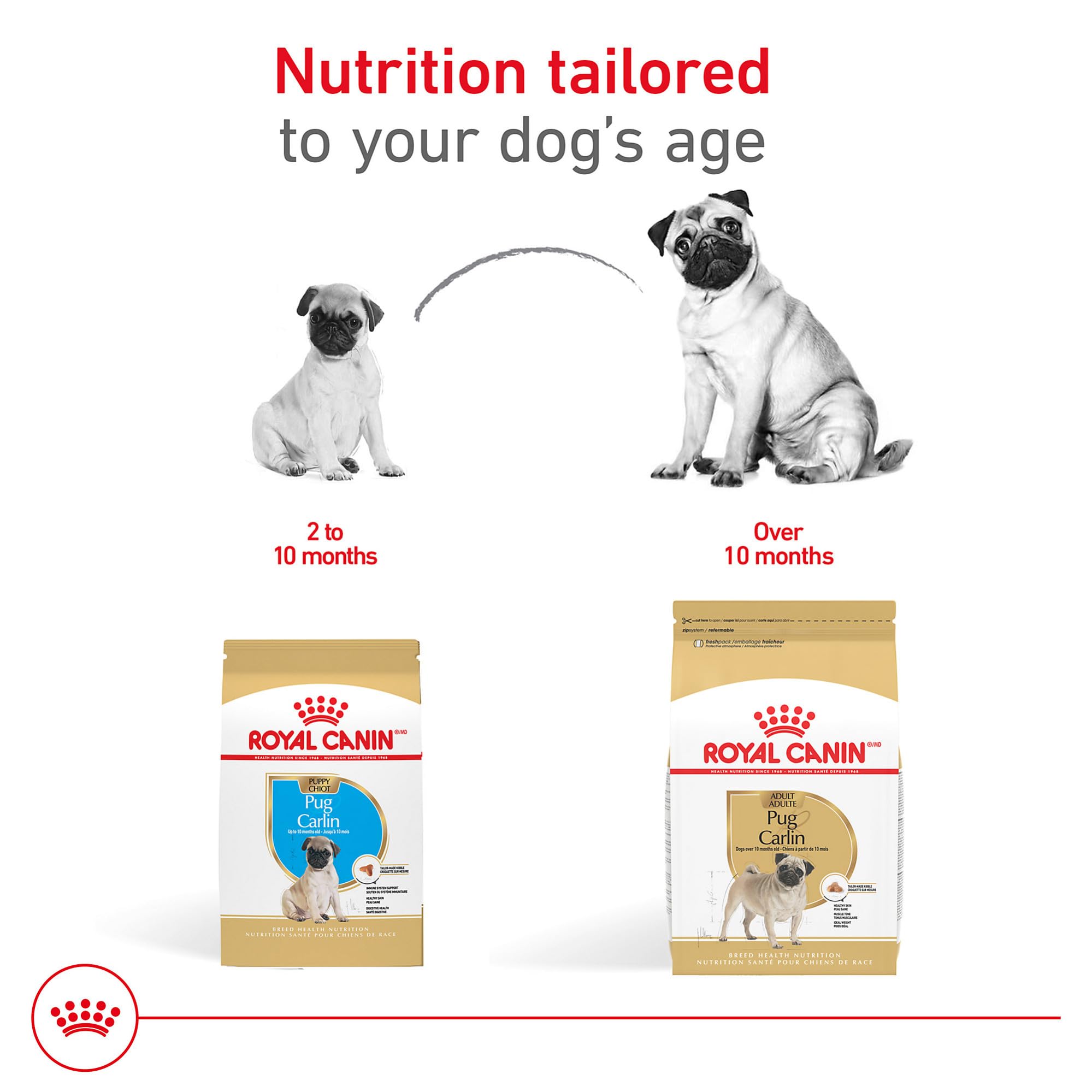 Royal Canin Pug Puppy, antioxydants dont vitamine E pour le développement.