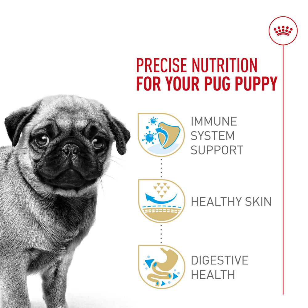 Royal Canin Pug Puppy, soutien immunitaire grâce aux antioxydants.