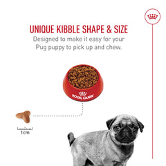 Royal Canin Pug Puppy, soin peau et pelage avec nutriments essentiels.