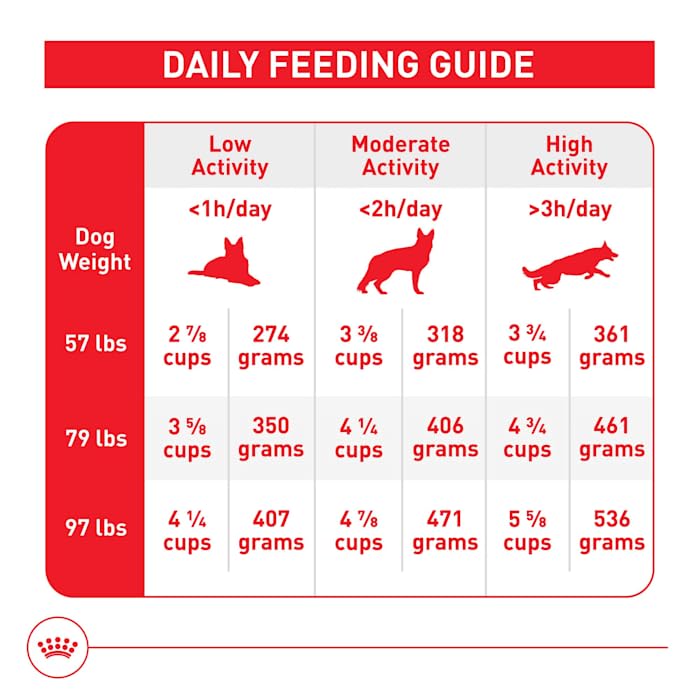 Qualité et sécurité Royal Canin pour une alimentation fiable