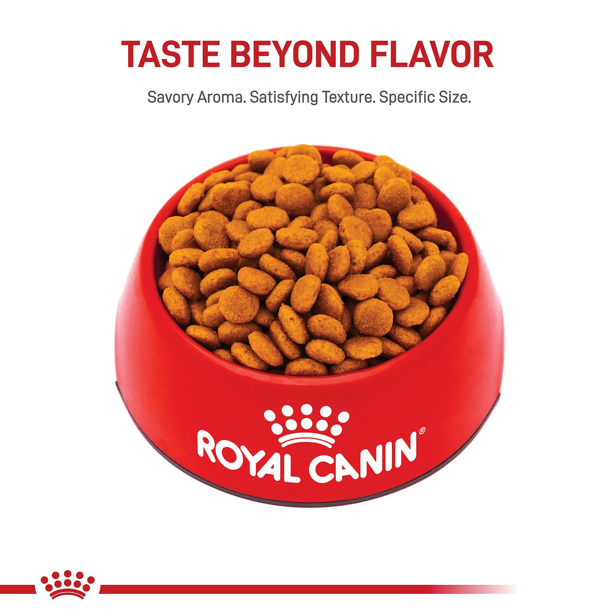 Royal Canin qualité et sécurité dans l alimentation du chien moyen.
