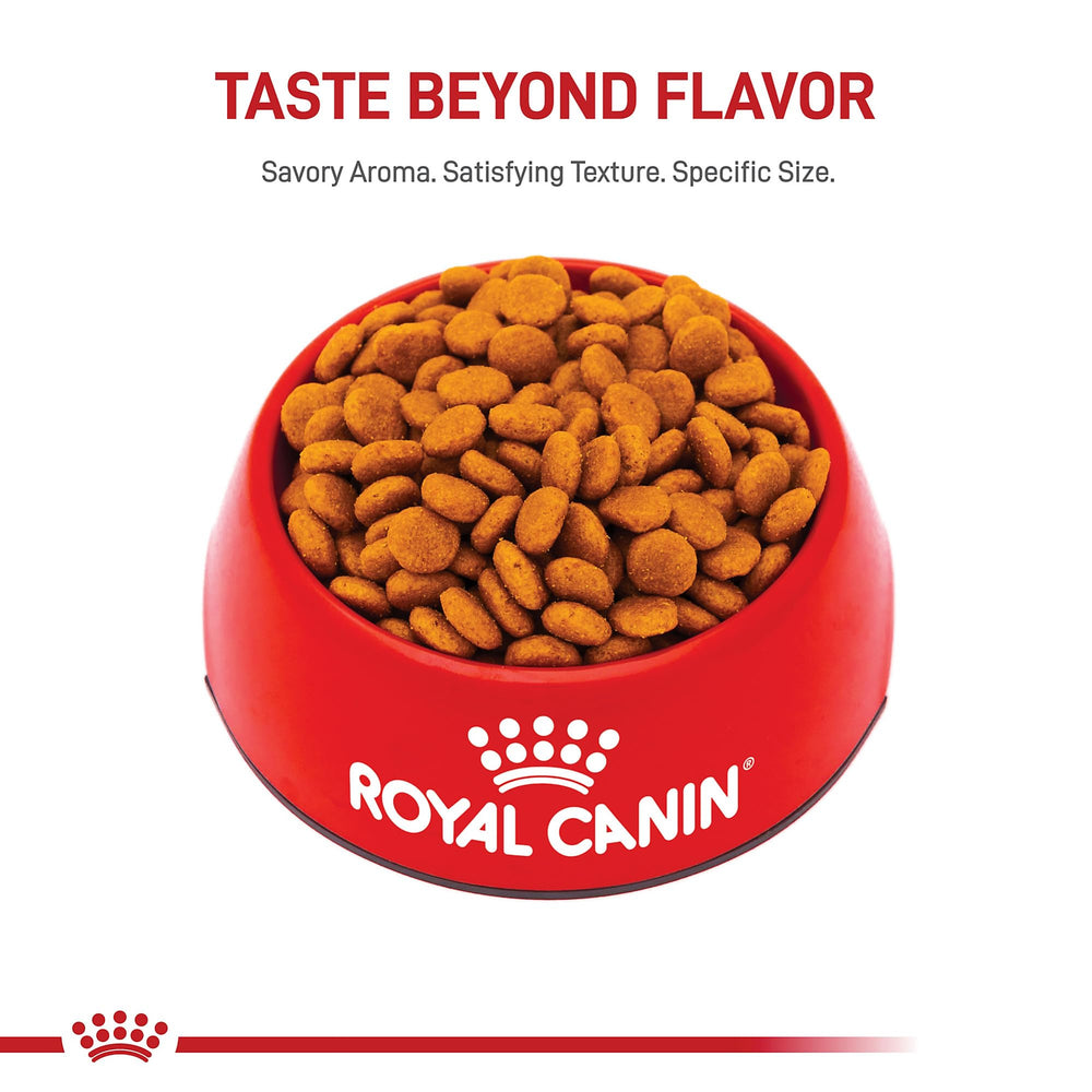 Royal Canin qualité et sécurité dans l alimentation du chien moyen.