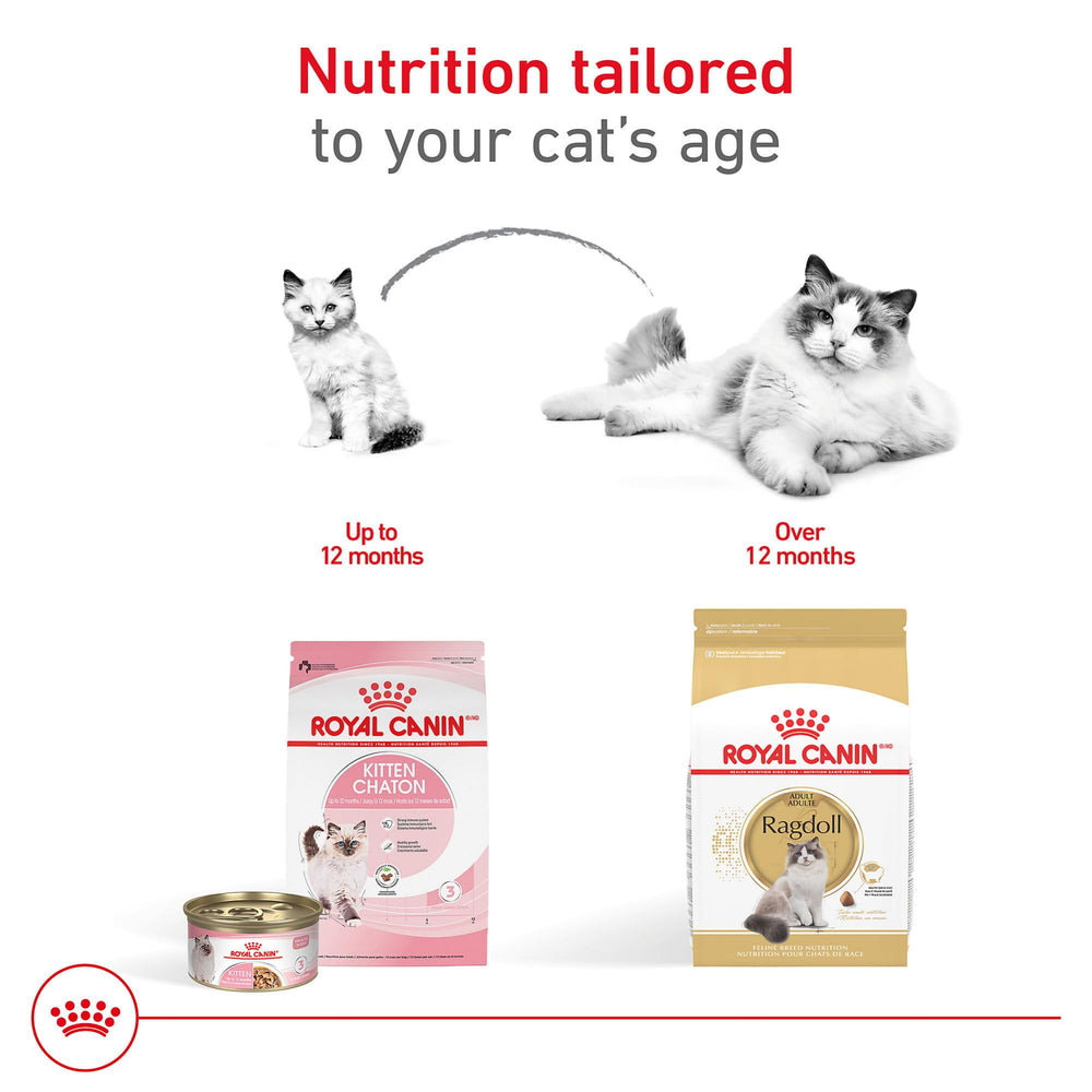 ROYAL CANIN RAGDOLL cœur sain soutenu par taurine et oméga-3