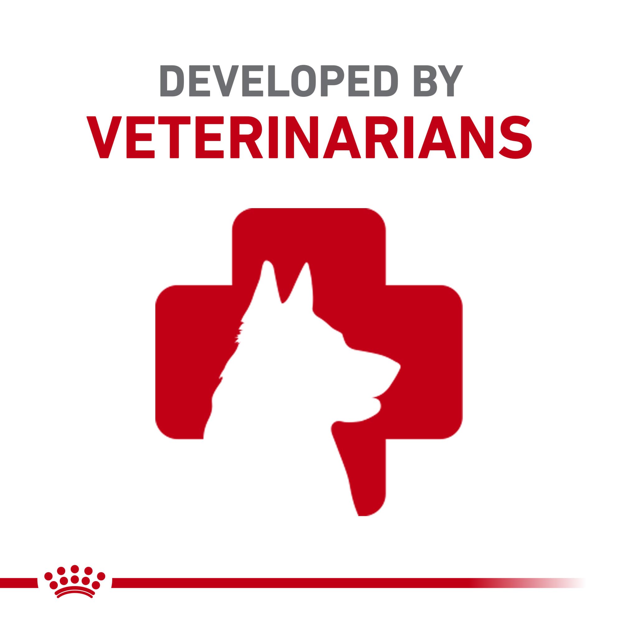 Royal Canin Régime vétérinaire canin - emballage packshot clair et informatif.