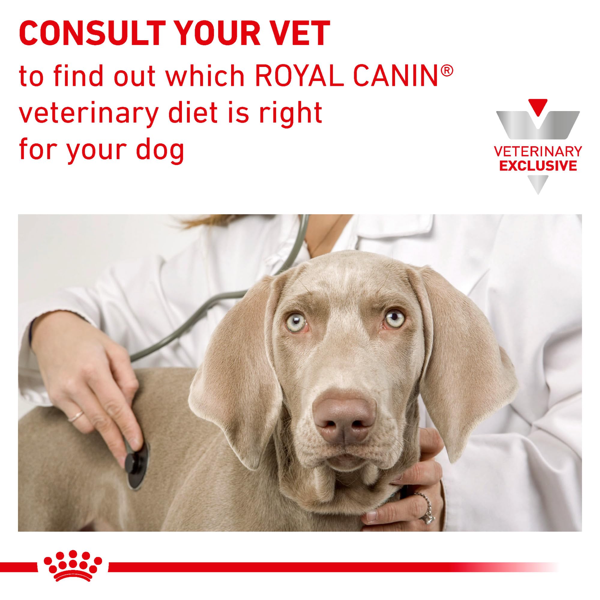 Royal Canin Régime vétérinaire canin - gros plan sur la sauce appétissante.