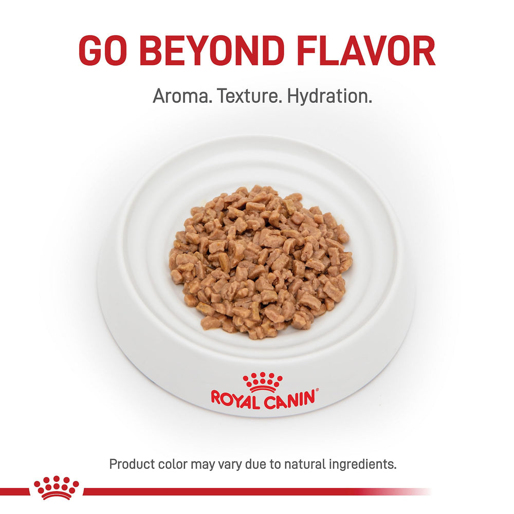Royal Canin Renal Support T, boite-6x3oz: emballage pratique pour portions faciles.