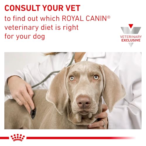 Royal Canin Renal Support T pâté enrichi en oméga-3 pour la nutrition quotidienne.