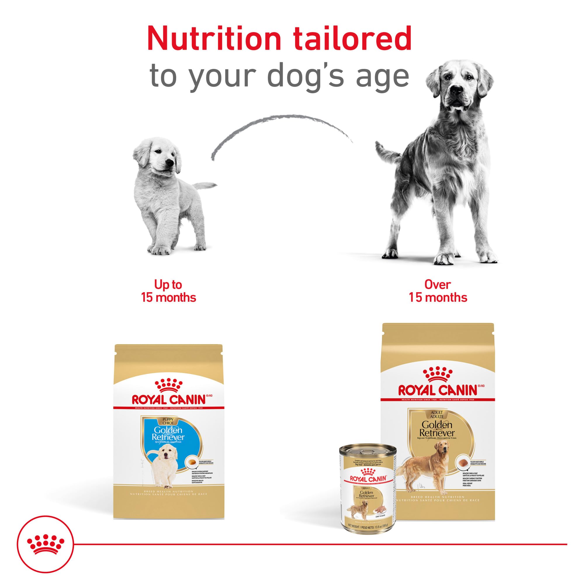 Royal Canin retriever dore soutien cardiaque sodium taurine.