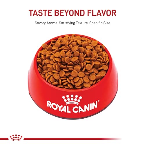 Routine quotidienne Royal Canin chiot moyen, pour un départ de vie équilibré.