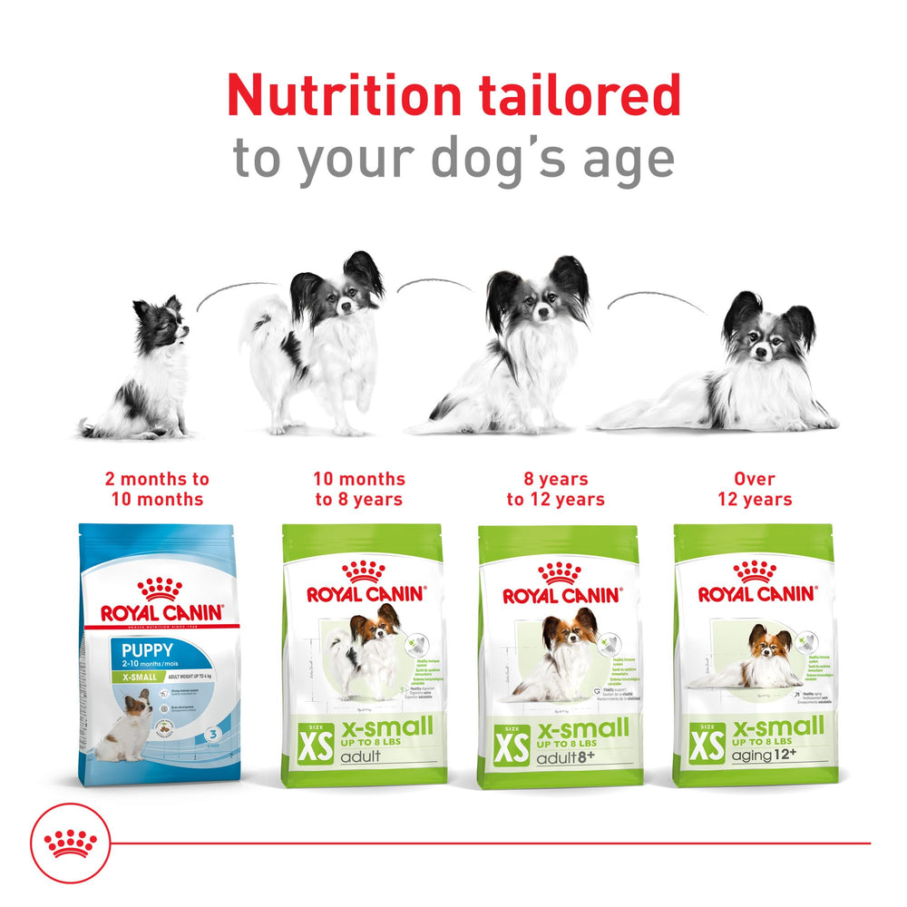 Royal Canin sante digestive – formulation adaptée au microbiome et à la digestion.