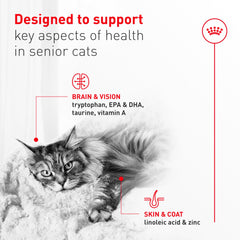 ROYAL CANIN Aîné 11+ – format 3oz en boîtes pratiques pour seniors.