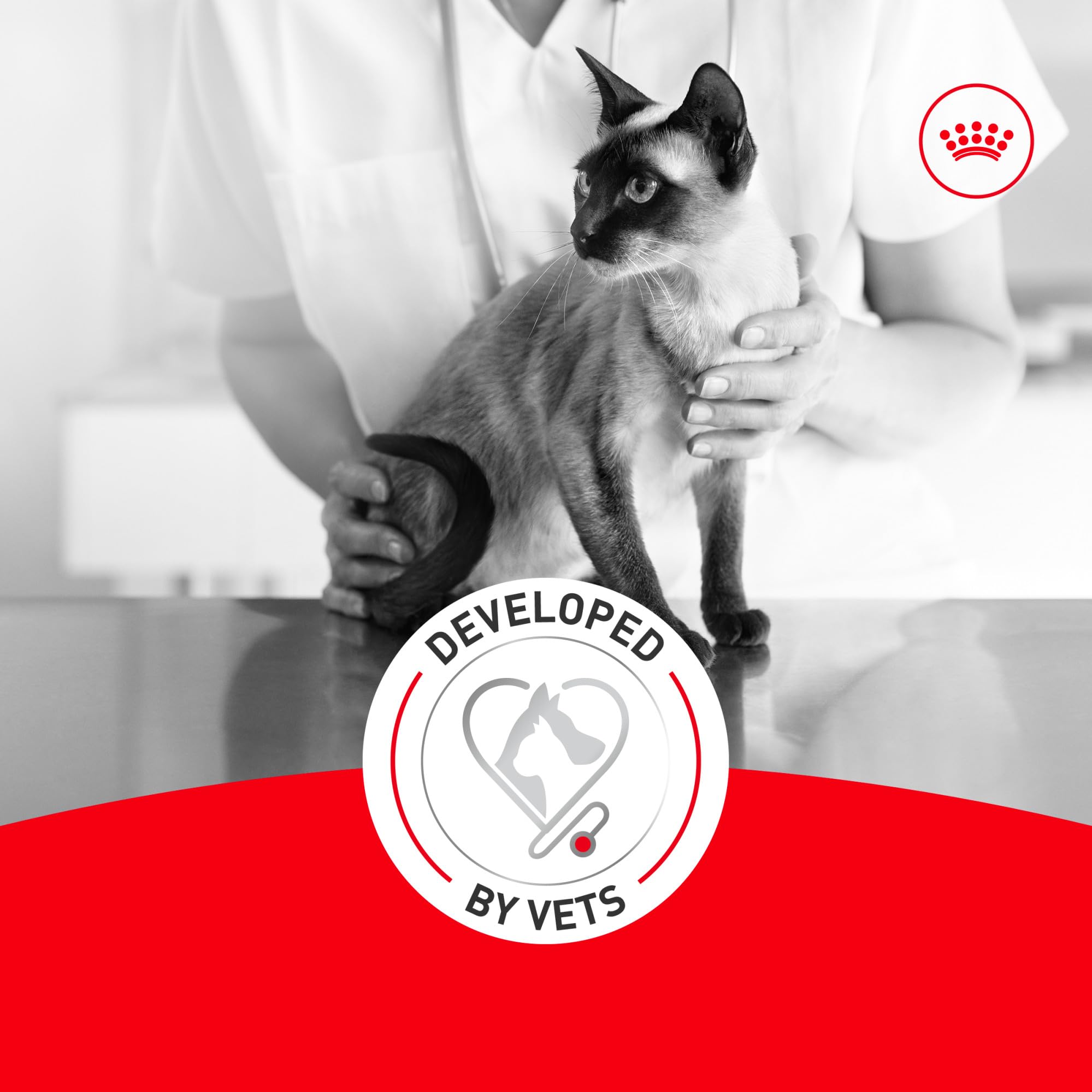 ROYAL CANIN Aîné 11+ – soutien des articulations grâce à des éléments essentiels.