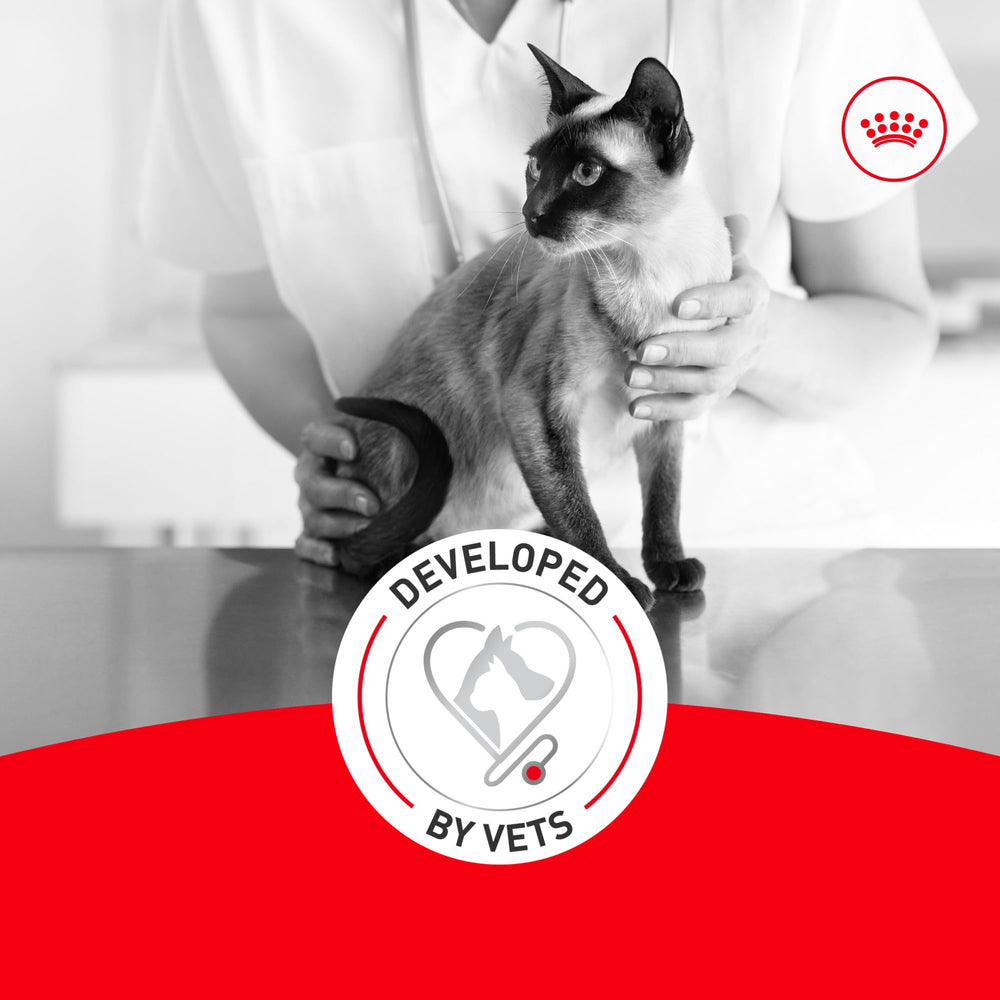 ROYAL CANIN Aîné 11+ – soutien des articulations grâce à des éléments essentiels.