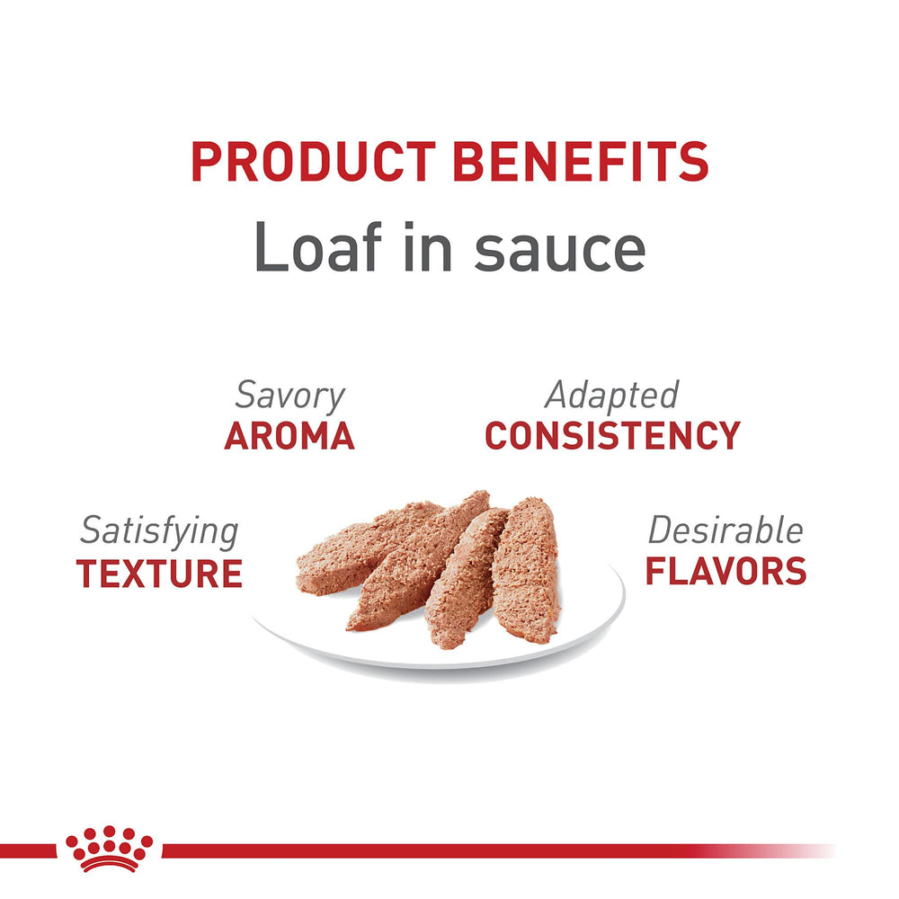 Assiette servie ROYAL CANIN Santé féline Instinctif en sauce, plaisir et satisfaction.