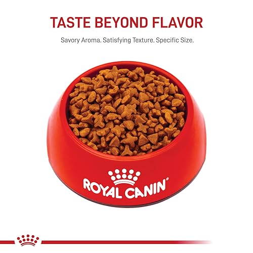 Royal Canin Santé Féline – sac pratique 3,2 kg pour chats adultes