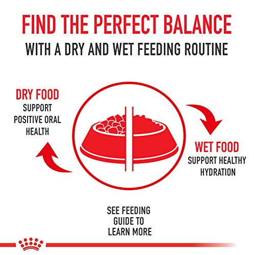 Royal Canin satisfaction garantie, offre une confiance client et choix sans risque.