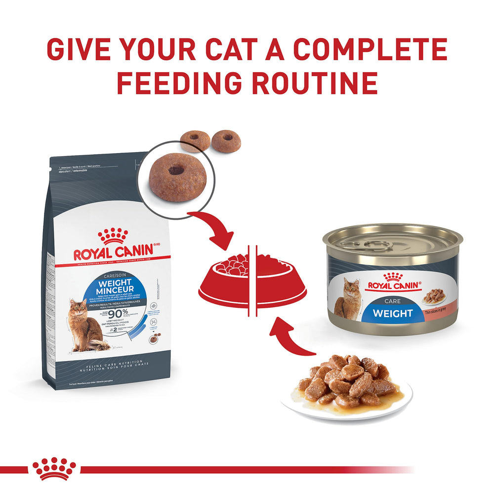 Royal Canin Sauce Tranches Chat Adulte: pratique et appétissant pour les repas quotidiens
