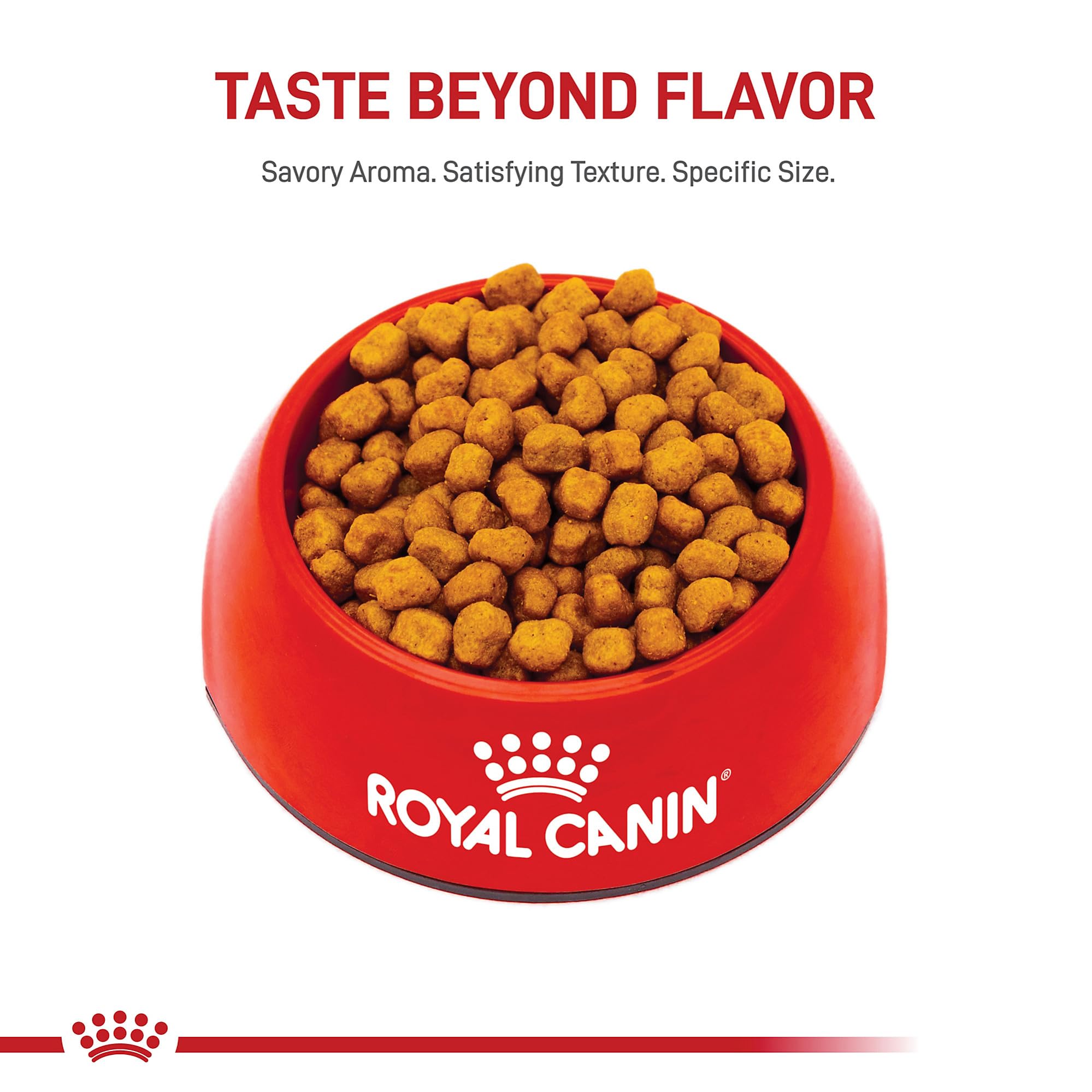 Selles réduites grâce à une formulation digestible Royal Canin Shih Tzu Adulte Sec