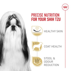 Pelage brillant et sain avec Royal Canin Shih Tzu Adulte Sec