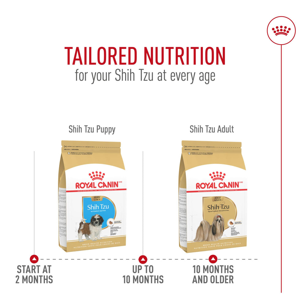 Royal Canin Shih Tzu adulte, ensemble-coat-brillance, croquettes qui complètent une alimentation humide pour pelage lumineux