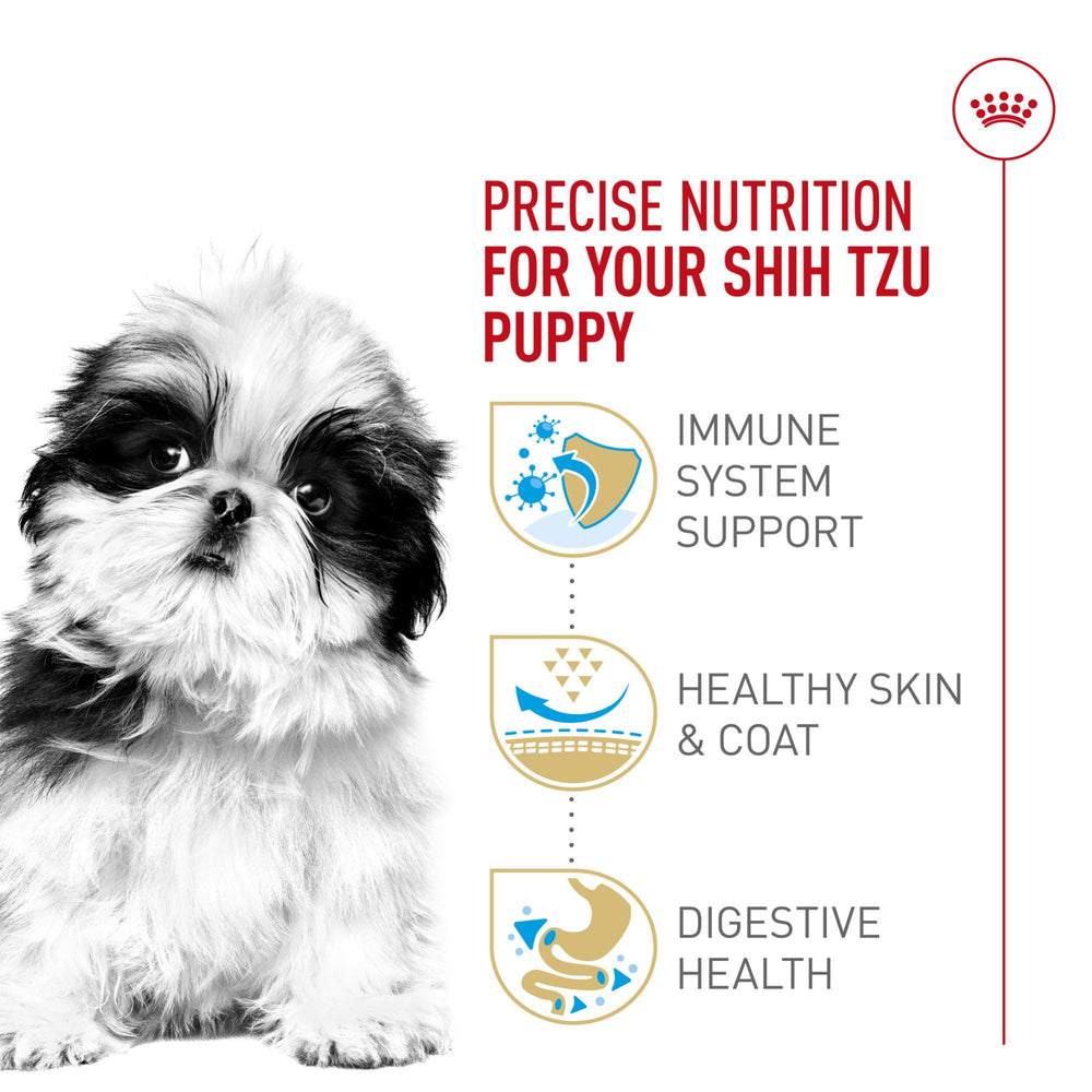 Shih Tzu Puppy Royal Canin, peau et poil sains grâce nutriments dédiés.