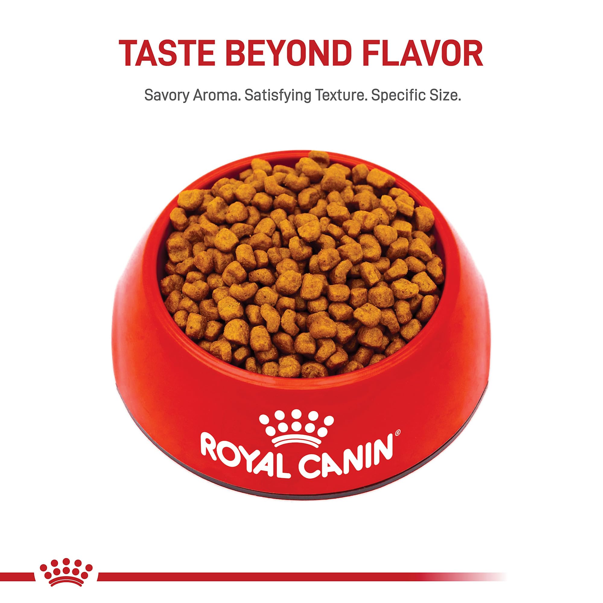 Croquettes au design pour museau court et sous-bite du Shih Tzu.