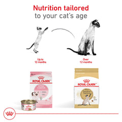 Royal Canin Siamese: silhouette élancée et musculature soutenue par un équilibre protéines et graisses.