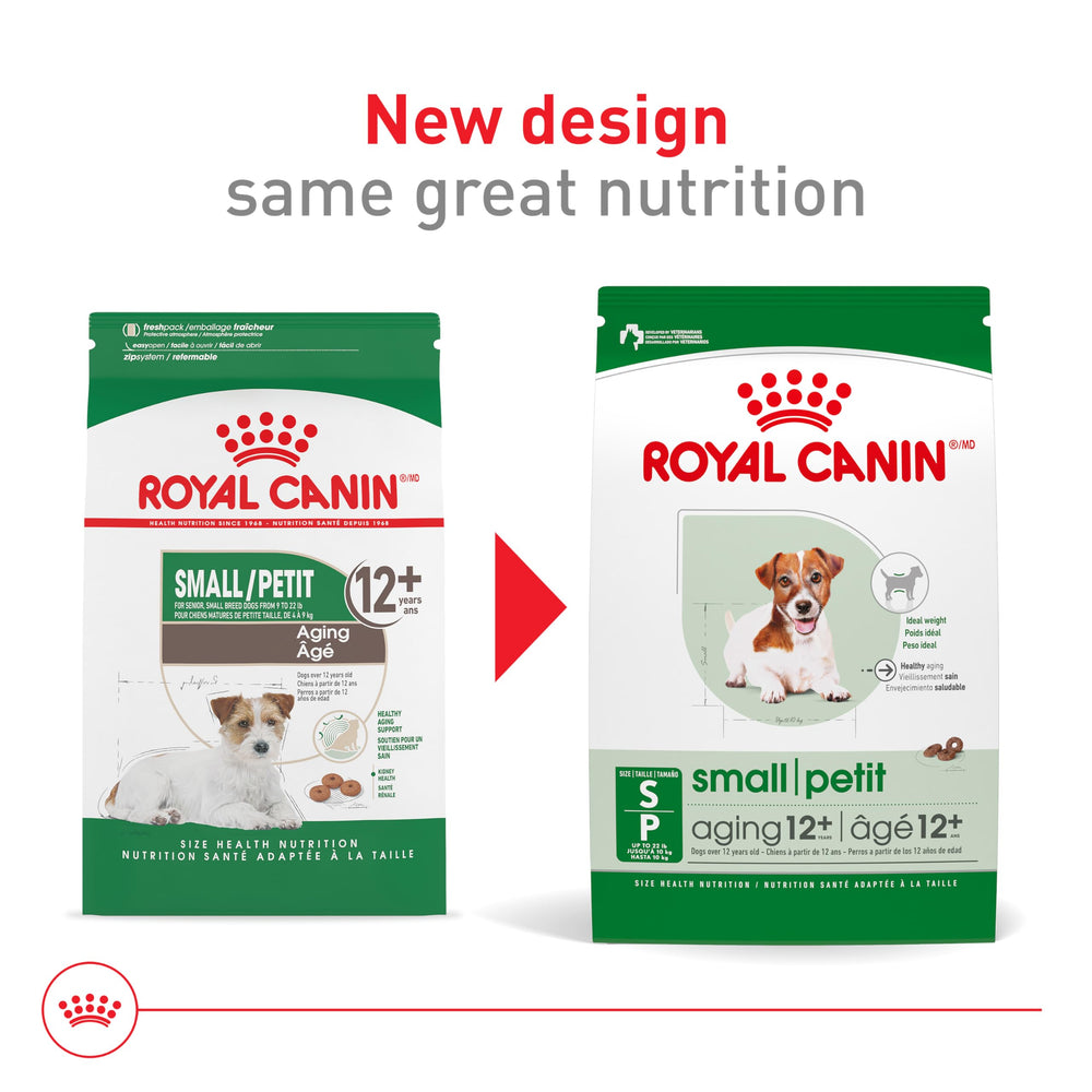 Gros plan sur les croquettes Royal Canin Small Aging 12+.