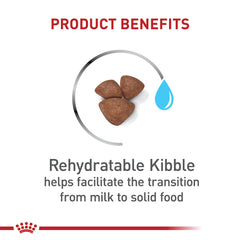 Kibbles réhydratables Royal Canin Small Starter en purée pour maman et chiots.
