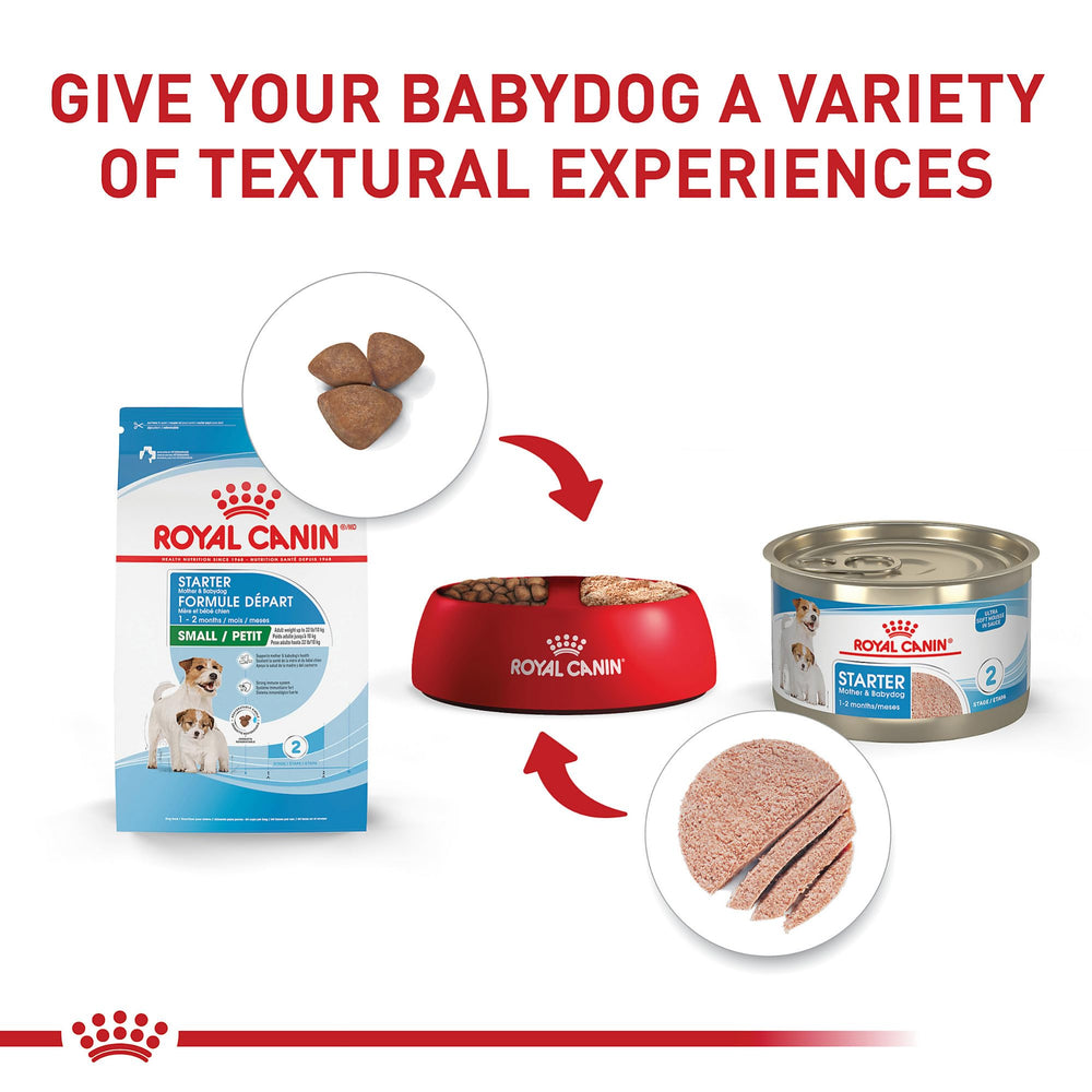 Prébiotiques et protéines digestes dans Royal Canin Small Starter favorisant la digestion.